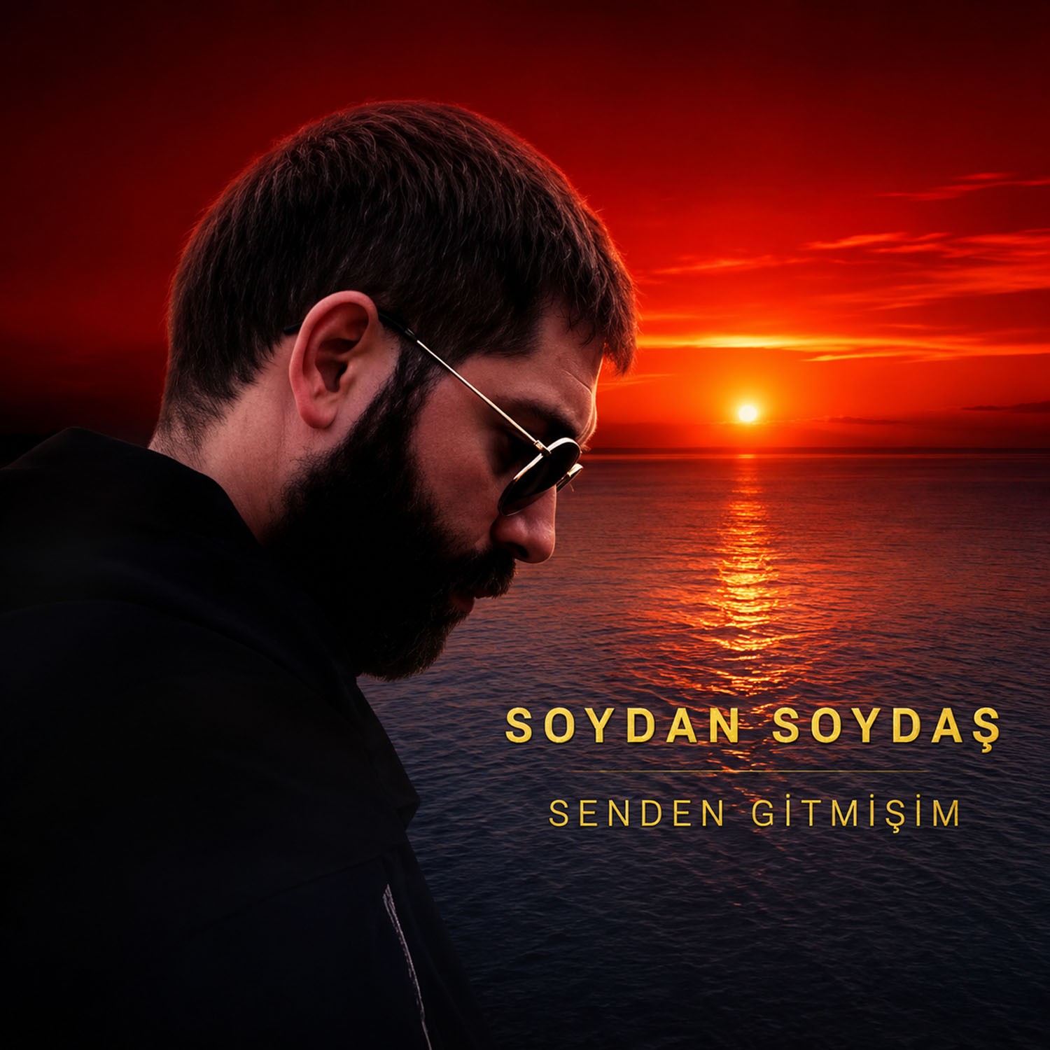 Senden Gitmişim